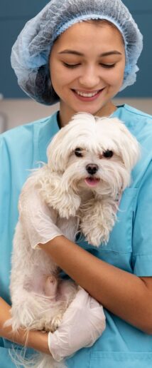 centerbanner1-min centerbanner1-min