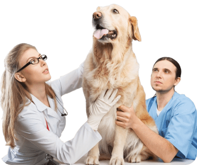 secondary-image1-min secondary-image1-min