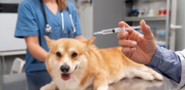 services1-min services1-min