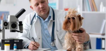 services2-min services2-min