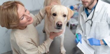 services3-min services3-min