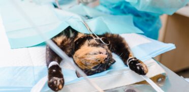 services4-min services4-min