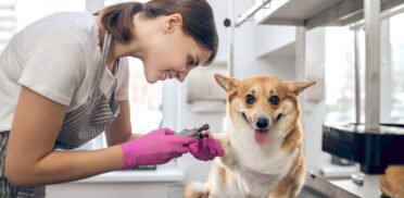 services6-min services6-min