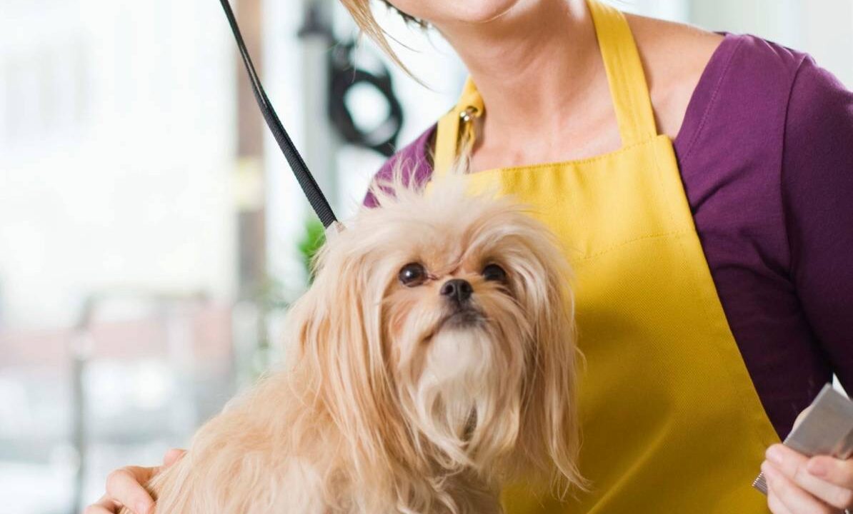 post1h2 (1) post1h2 (1)