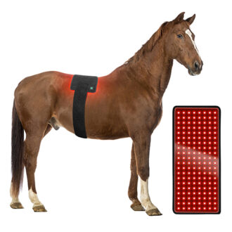 Horse Red Light Infrared Light Therapy Dog Led Therapy Veterinary Physiotherapy Equipment Red Light Therapy Pet