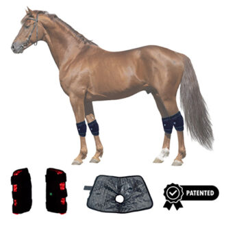 Equine Therapy Equipment Pemf Therapy Machine & Red Light Massage Blanket for Horse's Knee Veterinary Instrument