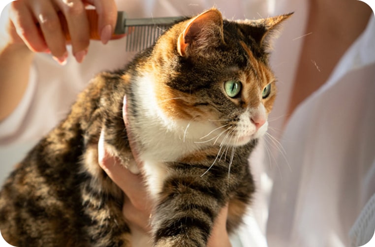 img-postgrid4 img-postgrid4