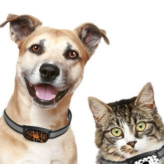 Unlimited Range Real Time Tracking Waterproof GPS Location & Smart Activity Pet Tracker with LED Light up Dog Collar