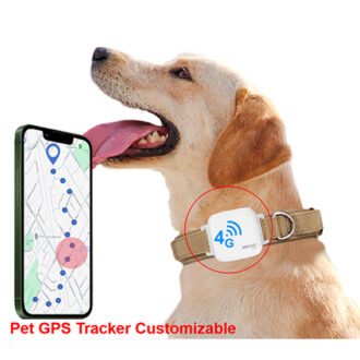 Pet Smart Mini Cat Collar 4G Wifi Smart Dog Locator Dog Fitness Dog Health Tracker