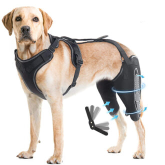 Dog Knee Brace with Harness - Adjustable Metal Splint Knee Support Brace for Dogs' Back Legs