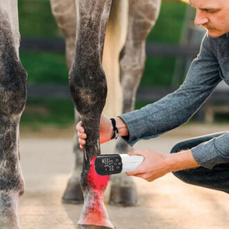High Power 660nm Red Light Therapy Equine Hock Arthritis Recovery 850nm Near Infrared Therapy Device