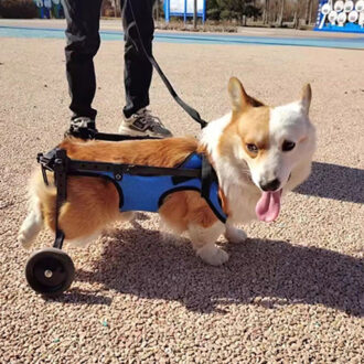 Adjustable Dog Cart/Wheelchair for Back Legs- Pet/Dog Wheelchairs with Disabled Hind Legs Walking