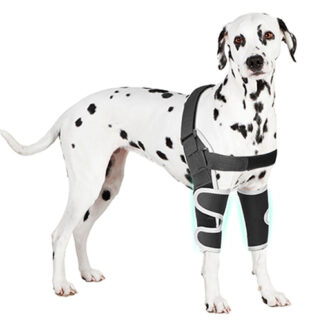 4.Canine Dog Front Double Elbow Brace for Dogs - Adjustable Dual Support Pads, Dog Elbow Dysplasia Braces for Front Legs