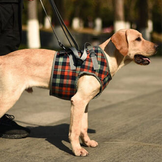 Dog Lift Harness for Medium Dogs, Dog Sling for Large Dogs Hind Legs, Dog Back Legs Support Harness Lifting with Handles
