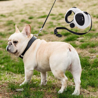 Led Light up Pet Running Lead Retractable Dog Leash With Flashlight and Poop Bag Dispenser