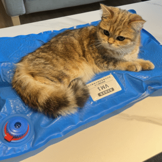 Vacuum Positioning Cushion